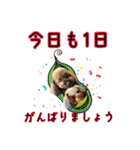 そら豆の友達（個別スタンプ：4）