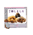 そら豆の友達（個別スタンプ：9）