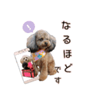 そら豆の友達（個別スタンプ：10）