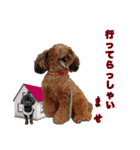 そら豆の友達（個別スタンプ：14）