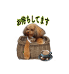 そら豆の友達（個別スタンプ：15）