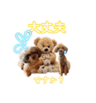 そら豆の友達（個別スタンプ：16）