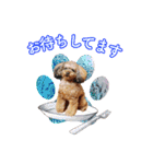 そら豆の友達（個別スタンプ：17）