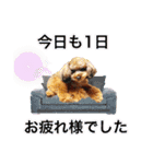 そら豆の友達（個別スタンプ：21）