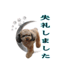 そら豆の友達（個別スタンプ：23）