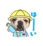 堤家のわんこスタンプ（個別スタンプ：9）