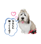 ティートと愉快な仲間たち☆（個別スタンプ：2）