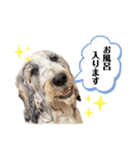 ティートと愉快な仲間たち☆（個別スタンプ：22）
