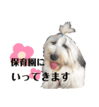 ティートと愉快な仲間たち☆（個別スタンプ：23）