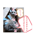 にゃー子と友達のスタンプ3（個別スタンプ：10）