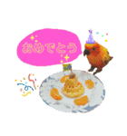 ぽんちゃん(コガネメキシコインコ)（個別スタンプ：8）