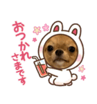 蘭丸くん リアルバージョン1（個別スタンプ：1）