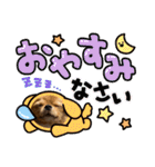 蘭丸くん リアルバージョン1（個別スタンプ：8）