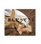 蘭丸くん リアルバージョン1（個別スタンプ：9）