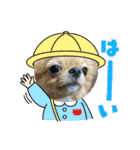 蘭丸くん リアルバージョン1（個別スタンプ：17）