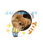 蘭丸くん リアルバージョン1（個別スタンプ：21）