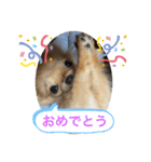 蘭丸くん リアルバージョン1（個別スタンプ：23）
