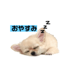 おむちゃんです（個別スタンプ：5）