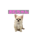 おむちゃんです（個別スタンプ：6）