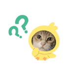 ニャオーンズ（個別スタンプ：2）