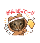 ニャオーンズ（個別スタンプ：4）