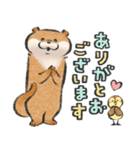 可愛い嘘のカワウソ12（個別スタンプ：3）