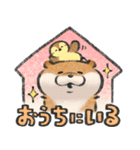 可愛い嘘のカワウソ12（個別スタンプ：31）