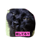 家の子スタンプごっ（個別スタンプ：8）