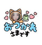 お使い下さい。7（個別スタンプ：9）