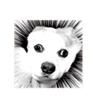ゆきまる〜その大いなる犬〜（個別スタンプ：24）