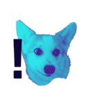 ゆきまる〜その大いなる犬〜（個別スタンプ：27）