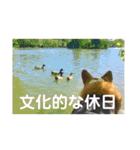 ゆきまる〜その大いなる犬〜（個別スタンプ：32）