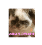 うさぎの“ももちゃん”女の子2（個別スタンプ：3）