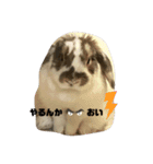 うさぎの“ももちゃん”女の子2（個別スタンプ：5）
