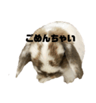 うさぎの“ももちゃん”女の子2（個別スタンプ：6）