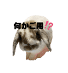 うさぎの“ももちゃん”女の子2（個別スタンプ：10）