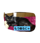にんざぶろう。さん（個別スタンプ：1）