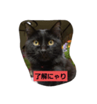 にんざぶろう。さん（個別スタンプ：2）