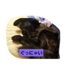 にんざぶろう。さん（個別スタンプ：3）