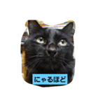 にんざぶろう。さん（個別スタンプ：5）