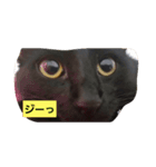 にんざぶろう。さん（個別スタンプ：6）
