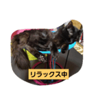 にんざぶろう。さん（個別スタンプ：7）