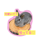 すームギととごまなすわさはな（個別スタンプ：2）
