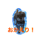 すームギととごまなすわさはな（個別スタンプ：7）