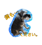 すームギととごまなすわさはな（個別スタンプ：9）