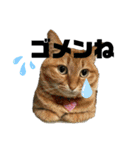 みりんプ（個別スタンプ：7）