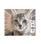 あいうえオン（個別スタンプ：2）