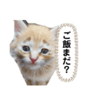 あいうえオン（個別スタンプ：5）