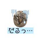 あいうえオン（個別スタンプ：8）