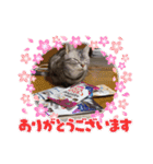 トラちゃんスタンプ PART1（個別スタンプ：3）